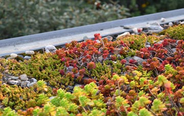 the cost of Moreton Corbet green roof installation