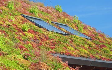 Moreton Corbet living roof systems