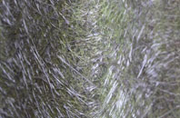 Moreton Corbet fibreglass roof work